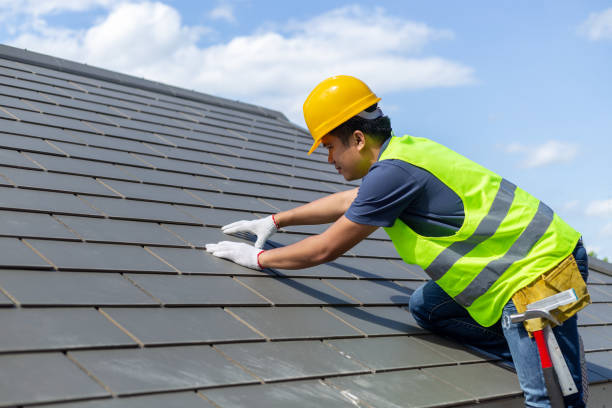 Best Roof Leak Repair  in Vadnais Heights, MN