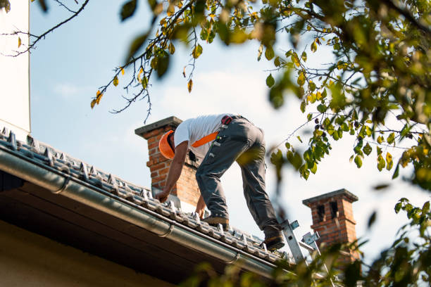 Best Metal Roofing Contractor  in Vadnais Heights, MN