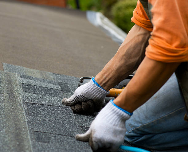 Best Flat Roof Repair Services  in Vadnais Heights, MN